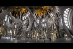 Keller_Ed_HyperbolWhale1-standard-scale-0_50x